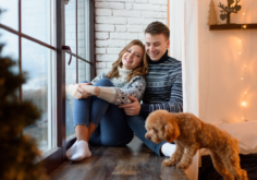 evde-hayvan-besleme-hakları (1)