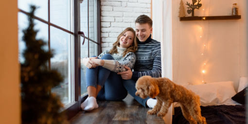 evde-hayvan-besleme-hakları (1)