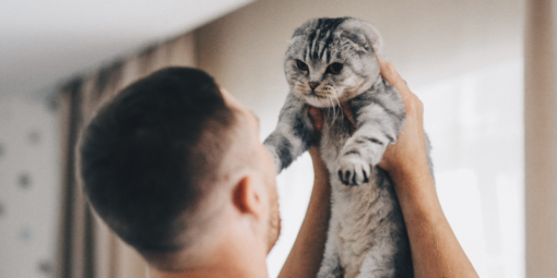 evde-hayvan-besleme-hakları (3)