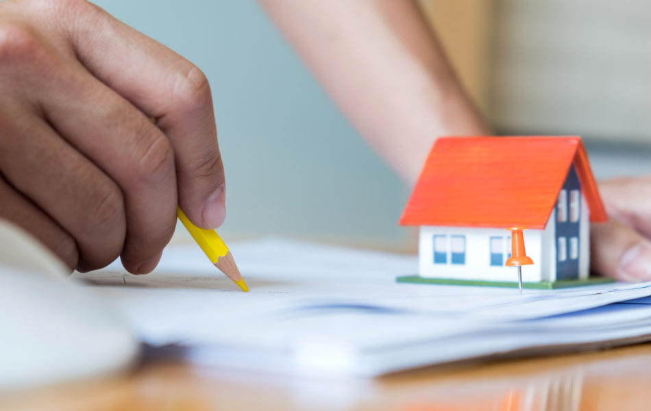 kira-artis-orani-agustos