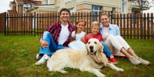 köpek dostu şehirler (3)