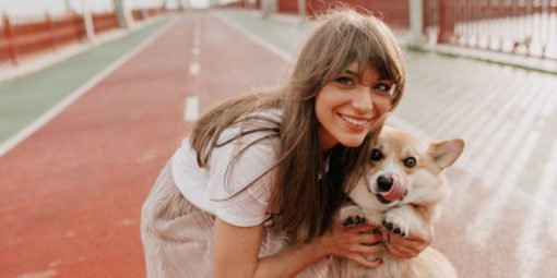 köpek dostu şehirler (4)