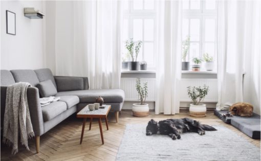 Fully Furnished and Minimalist Flats Get Lots of Interest